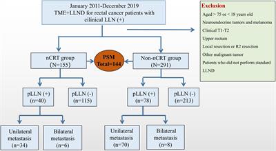 Optimization of therapeutic strategies for selective lateral lymph node dissection after neoadjuvant chemoradiotherapy in patients with rectal cancer with clinical suspected lateral lymph node metastasis